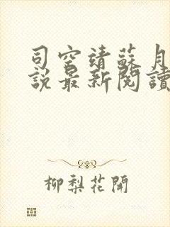 司空靖苏月汐小说最新阅读