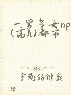 一男多女nph(高h)都市