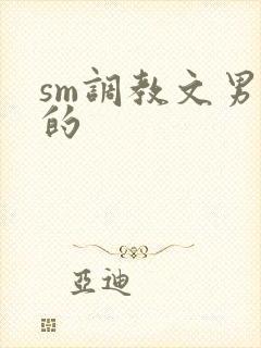 sm调教文男男的封面