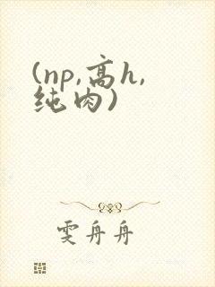 (np,高h,纯肉)