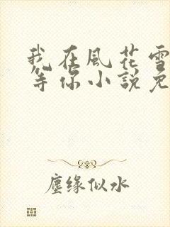 我在风花雪月里等你小说免费下载