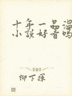 十年一品温如言小说好看吗