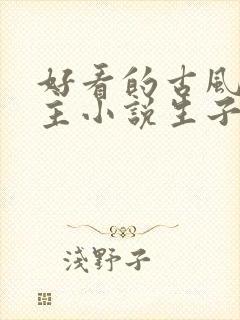 好看的古风双男主小说生子