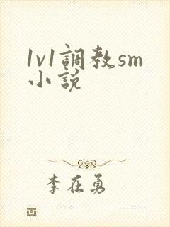 1v1调教sm小说封面