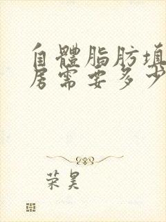 自体脂肪填充乳房需要多少钱