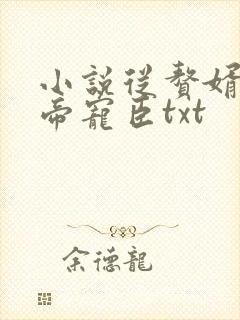 小说从赘婿到女帝宠臣txt