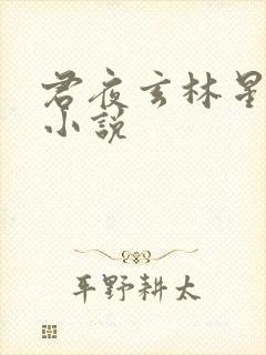 君夜玄林星瑶的小说封面