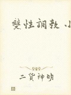 双性调教 小说封面