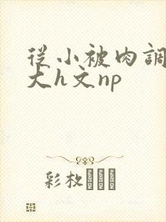 从小被肉调教到大h文np封面