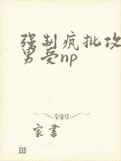 强制疯批攻虐直男受np封面