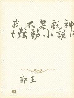 我不是戏神txt炫动小说网