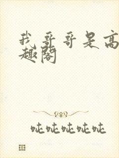 我哥哥是高欢笔趣阁