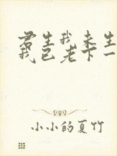 君生我未生君生我已老下一句封面