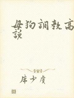 母狗调教高h小说