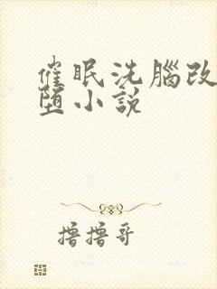 催眠洗脑改造恶堕小说