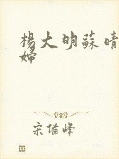 杨大明苏晴儿媳妇