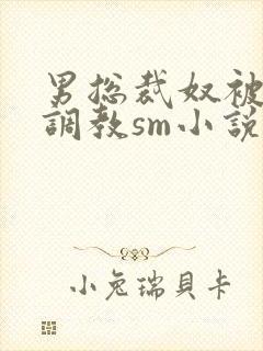 男总裁奴被绳绑调教sm小说