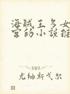 海贼王多女主后宫的小说推荐
