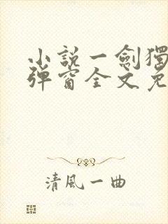 小说一剑独尊无弹窗全文免费阅读