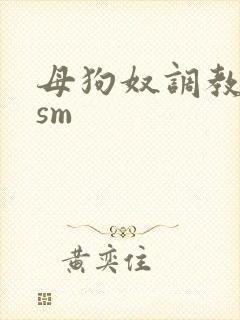 母狗奴调教虐玩sm