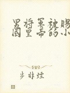 男将军被赐给敌国皇帝的小说