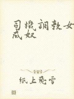 司机调教女总裁成奴