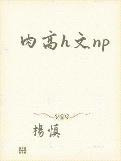 肉高h文np
