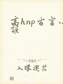 高hnp古言小说