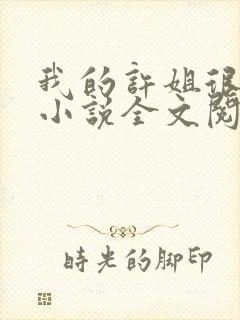 我的许姐很温柔小说全文阅读