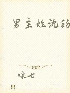 男主姓沈的小说封面
