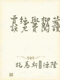 贾纯与柳若烟小说免费阅读