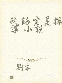 我的完美总裁老婆 小说