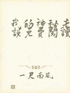 我的神秘老公小说免费阅读全文封面