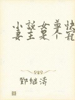 小说女尊快穿之妻主是个宠夫狂