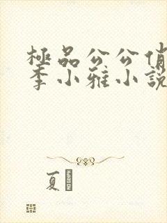 极品公公俏儿媳李小雅小说免费阅读封面