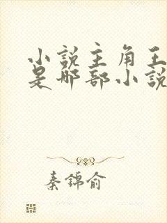 小说主角王斌 是哪部小说