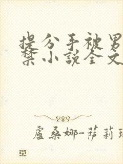 提分手被男友囚禁小说全文免费阅读封面