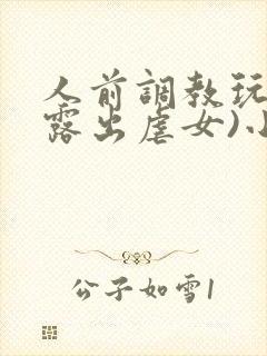 人前调教玩弄(露出虐女)小说