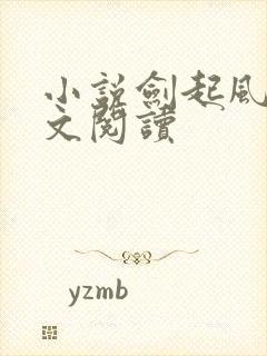 小说剑起风云全文阅读