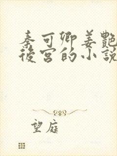 秦可卿姜艳都市后宫的小说