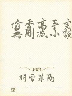 偷香高手完整版无删减小说