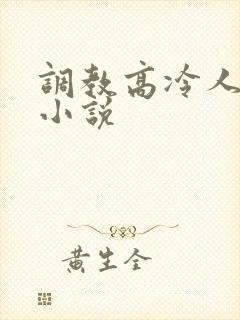 调教高冷人妻的小说
