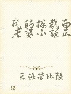 我的总裁白富美老婆小说正版