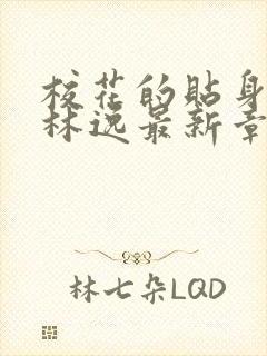 校花的贴身高手林逸最新章