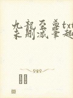 九龙至尊txt未删减笔趣阁