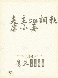 夫主sm调教狠虐小妾封面