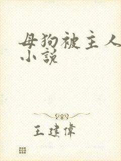 母狗被主人调教小说