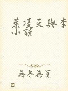 叶凌天与李雨欣小说