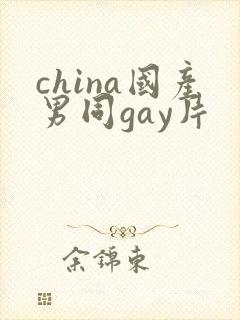 china国产男同gay片封面
