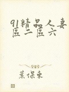 91精品人妻一区二区六